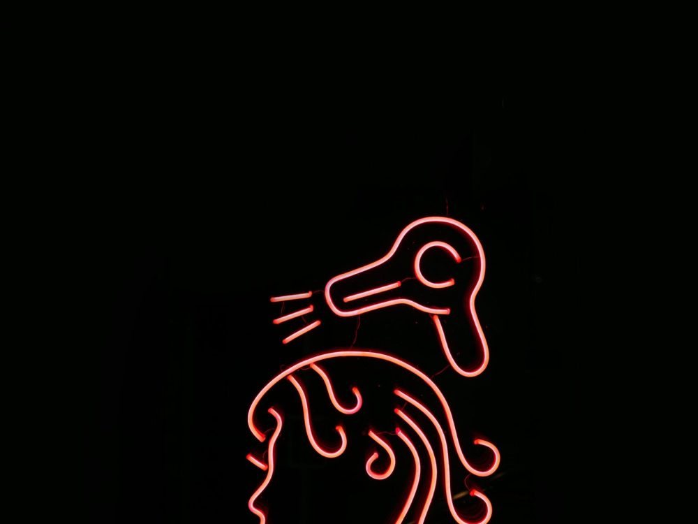 pexels-maksgelatin-5784361